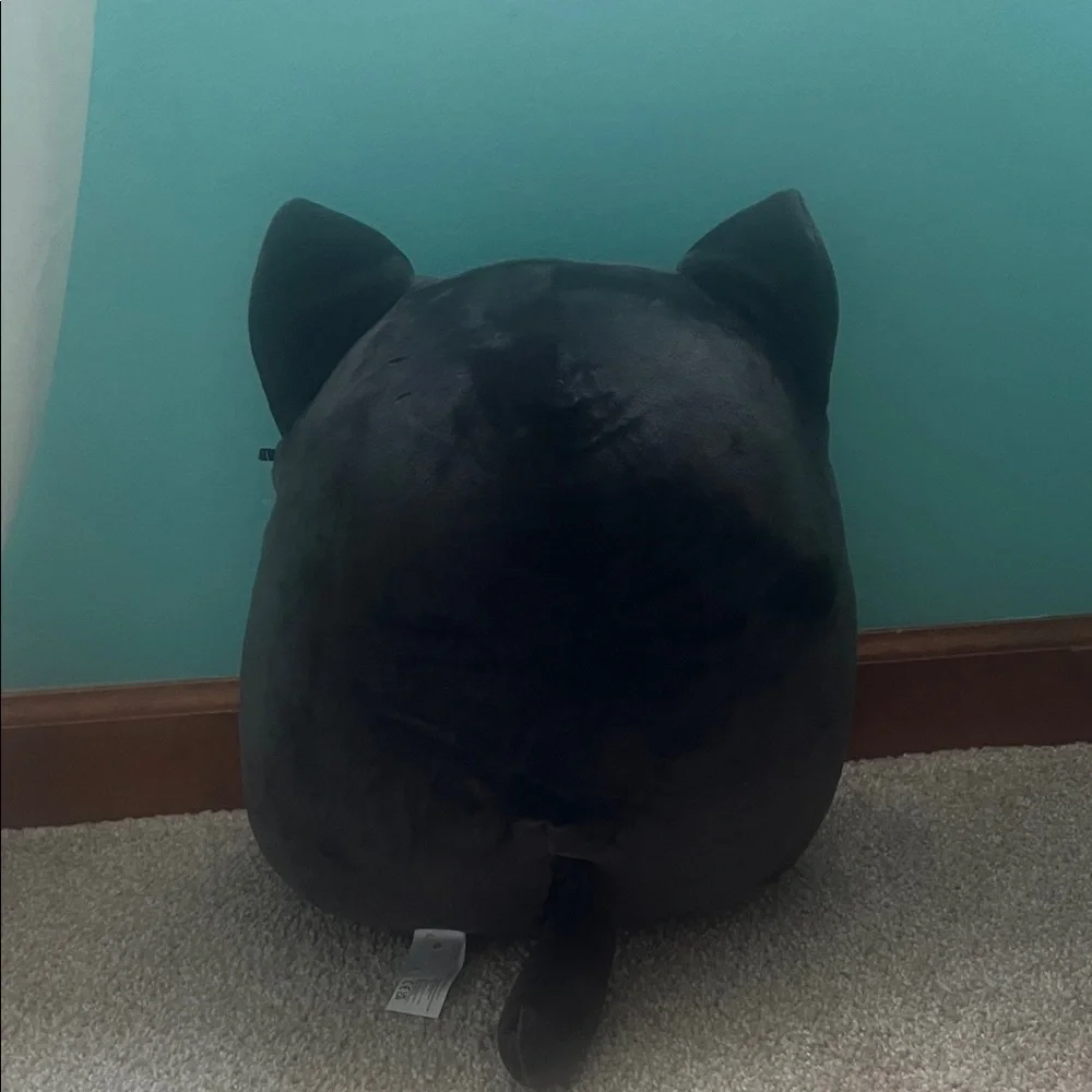 Squishmallows Black and Purple Cat Toy